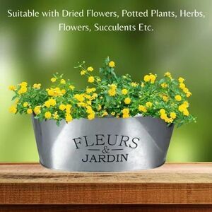 NWOT … GREENBRIAR INTERNATIONAL “Fleurs & Jardin” Galvanized Planter